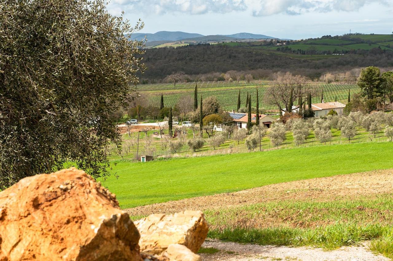 Artemisia Negli Ulivi B&B Magliano in Toscana Exterior foto
