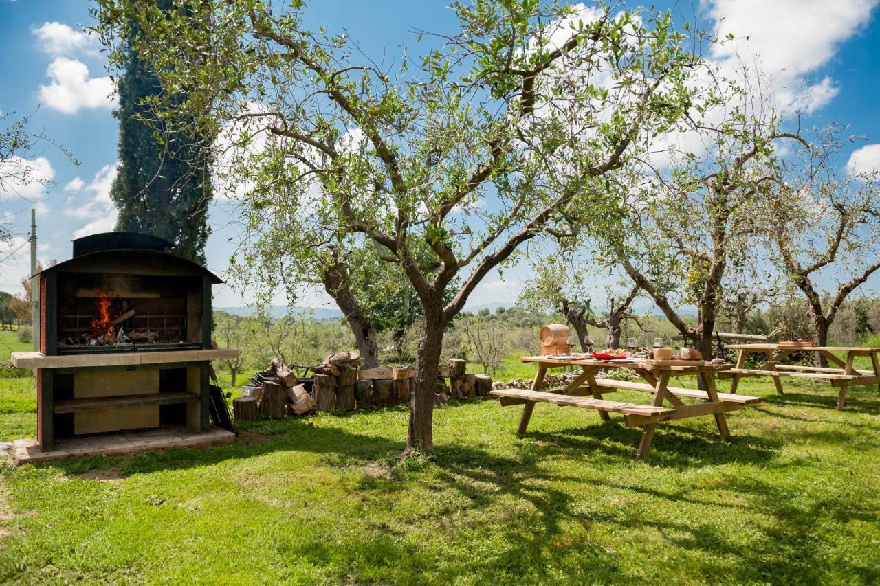 Artemisia Negli Ulivi B&B Magliano in Toscana Exterior foto