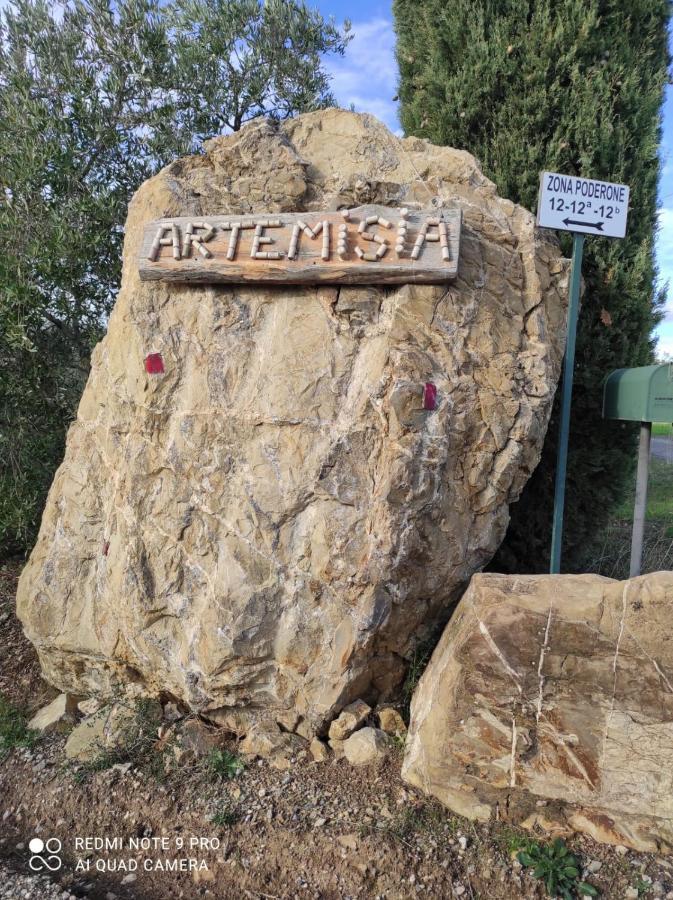 Artemisia Negli Ulivi B&B Magliano in Toscana Exterior foto